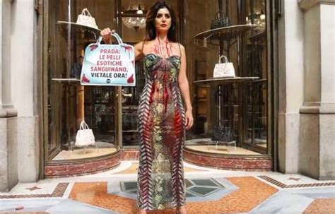 prada denuncia per caccia dei coccodrili|Coperta di sangue davanti alla boutique di Prada, la protesta .